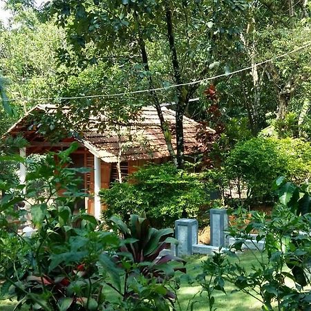 Отель Leisure Vacations Whispering Woods Мадикери Экстерьер фото